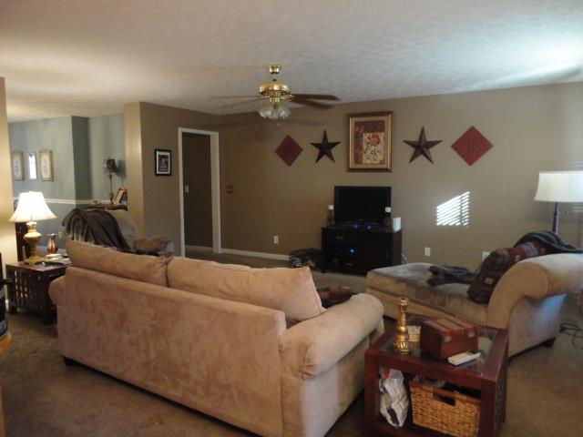 7 Spring Bluff Dr, Bremen, GA 30110 photo 6