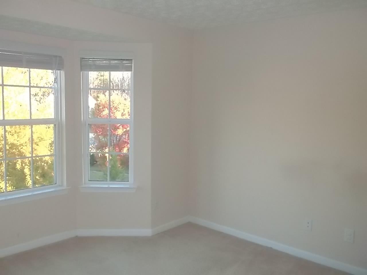 2316 Pineview Trl, Ellenwood, GA 30294 photo 8