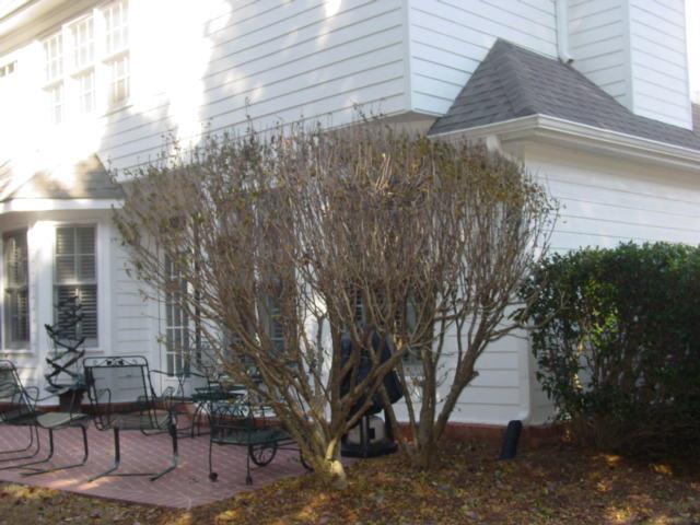 1662 Bakers Mill Rd, Dacula, GA 30019 photo 24