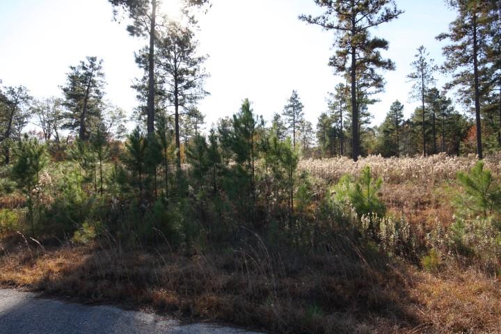 411 Gray Wolf Dr, Macon, GA 31216 photo 1