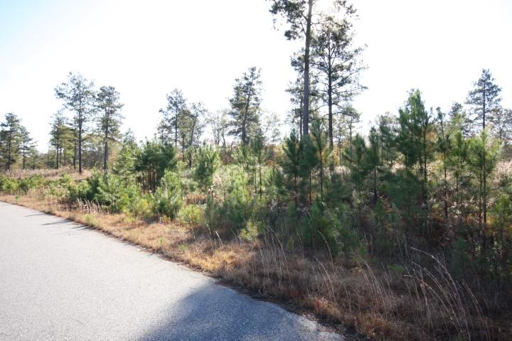 411 Gray Wolf Dr, Macon, GA 31216 photo 2