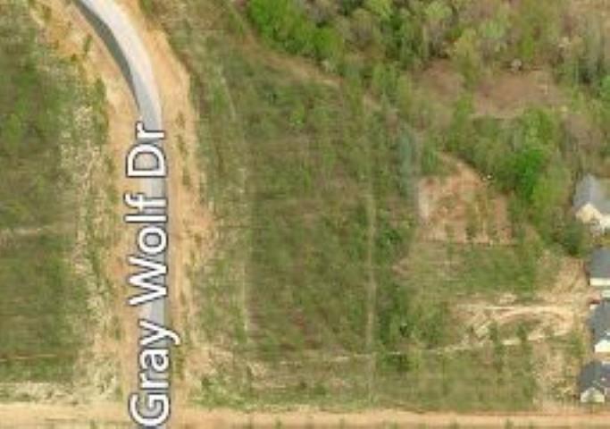 411 Gray Wolf Dr, Macon, GA 31216 photo 5