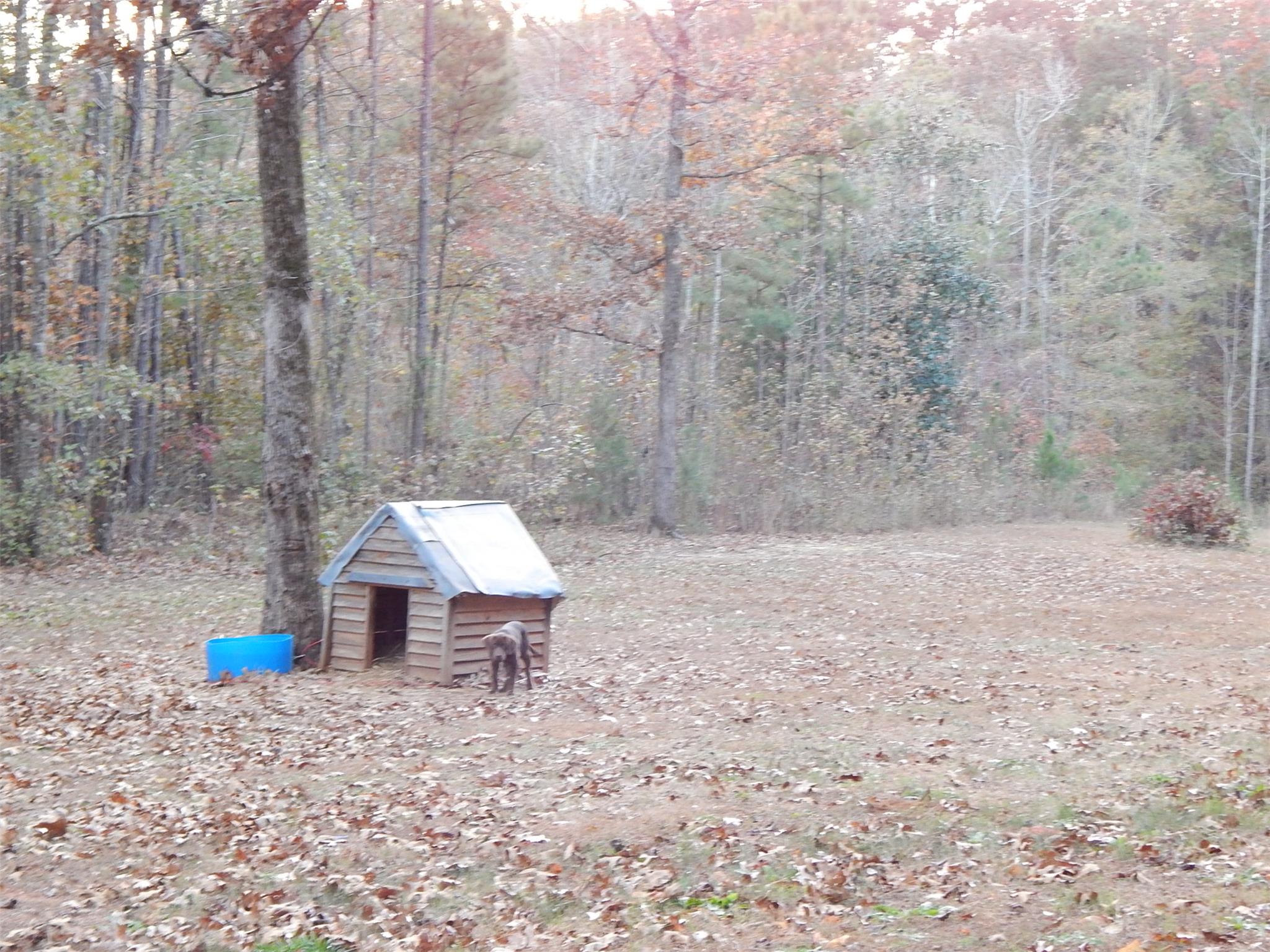937 Barker Rd, Thomaston, GA 30286 photo 15