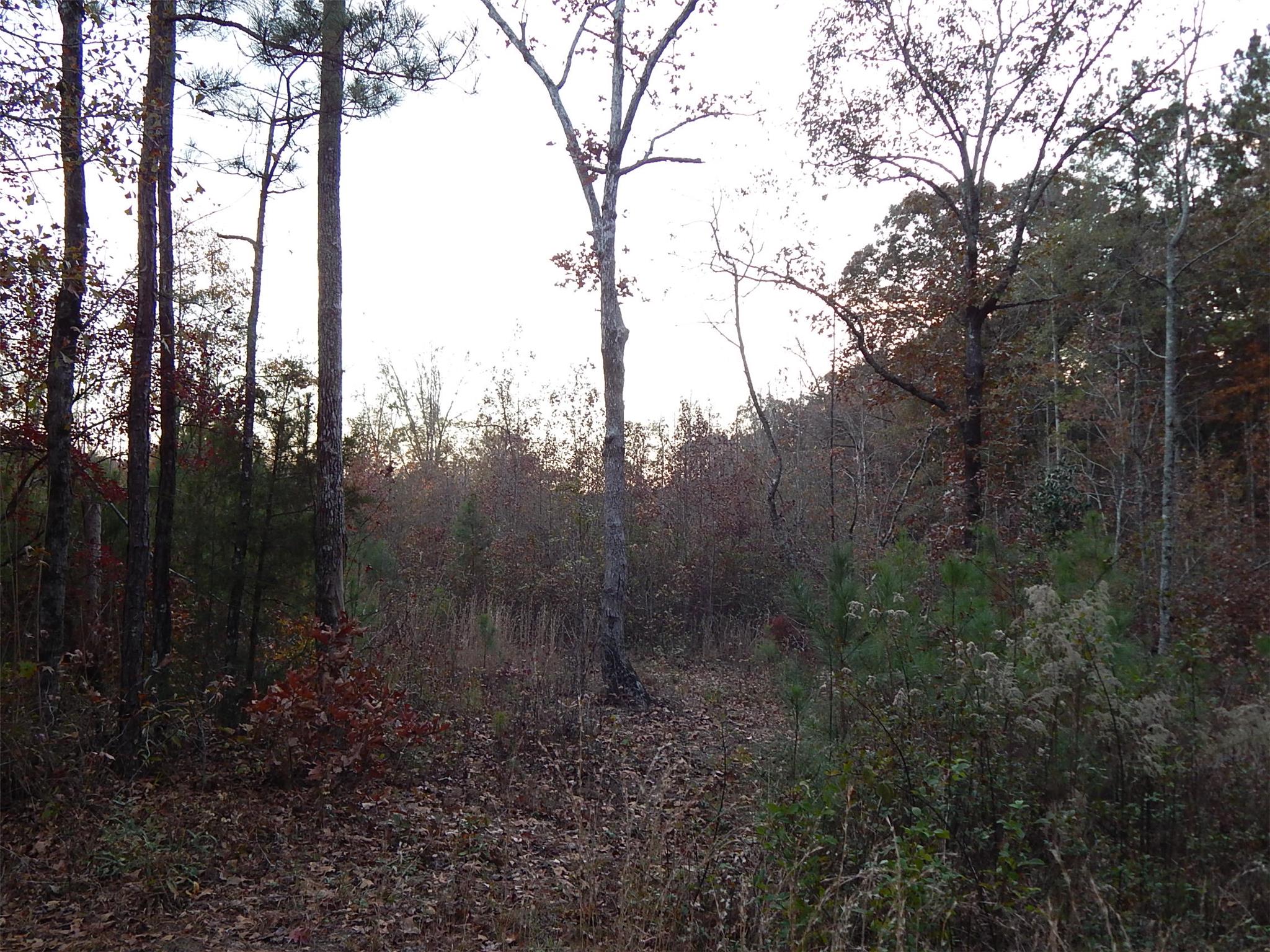 937 Barker Rd, Thomaston, GA 30286 photo 18
