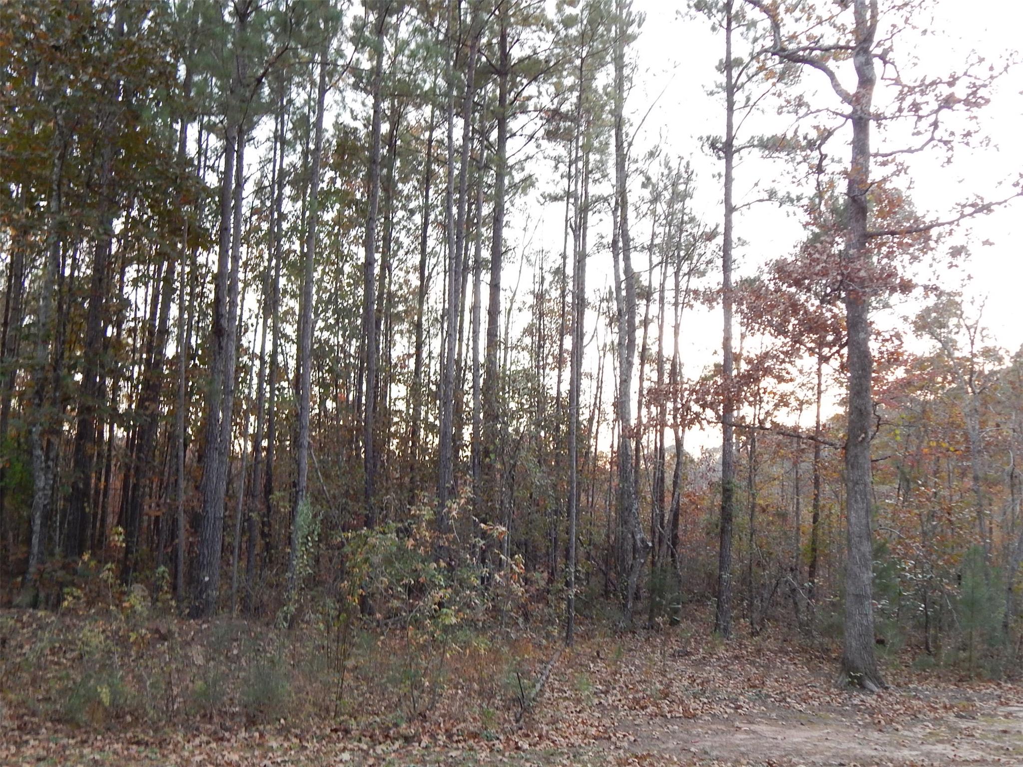 937 Barker Rd, Thomaston, GA 30286 photo 17