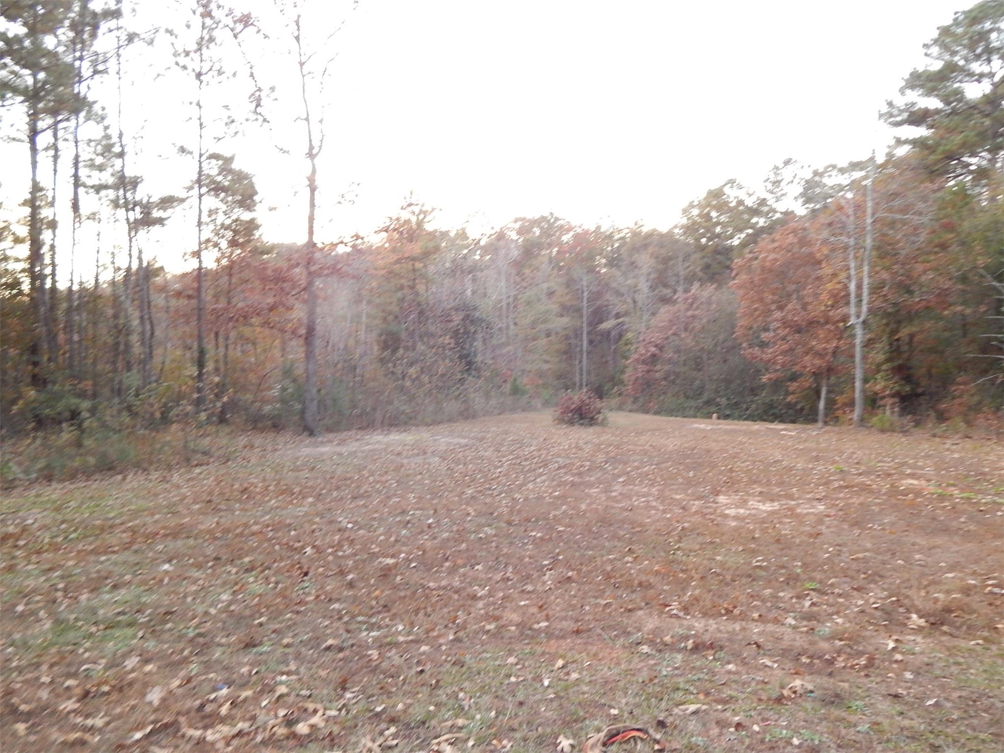 937 Barker Rd, Thomaston, GA 30286 photo 16