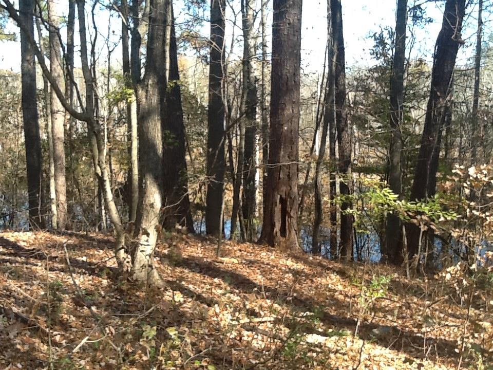 4857 Mosley Rd, Austell, GA 30106 photo 2