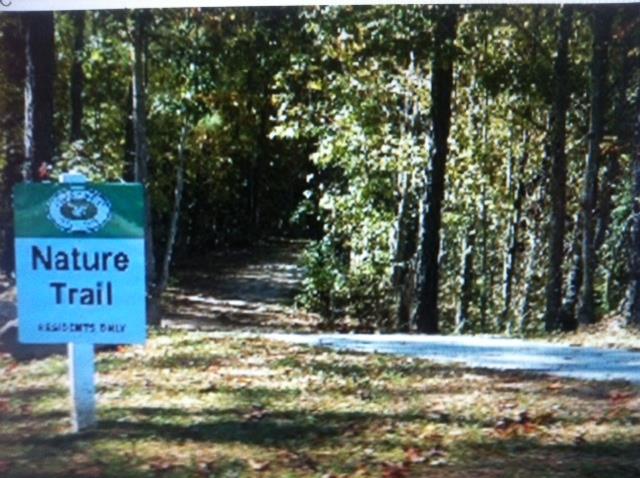 604 Applegate Ln, Stockbridge, GA 30281 photo 21