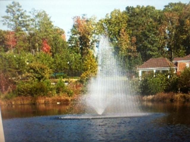 604 Applegate Ln, Stockbridge, GA 30281 photo 22
