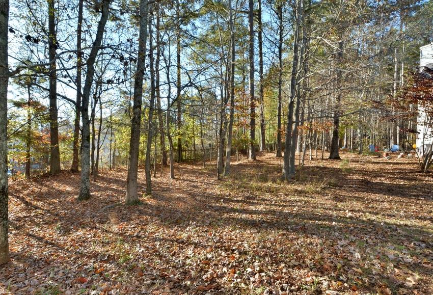 2860 Factor Walk Blvd, Suwanee, GA 30024 photo 24