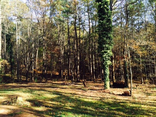 230 Deer Run Dr, Winder, GA 30680 photo 23