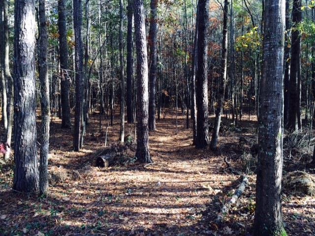 230 Deer Run Dr, Winder, GA 30680 photo 25