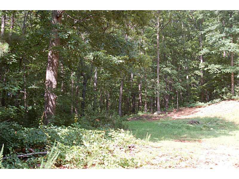 2131 Maddox Rd E, Buford, GA 30519 photo 3