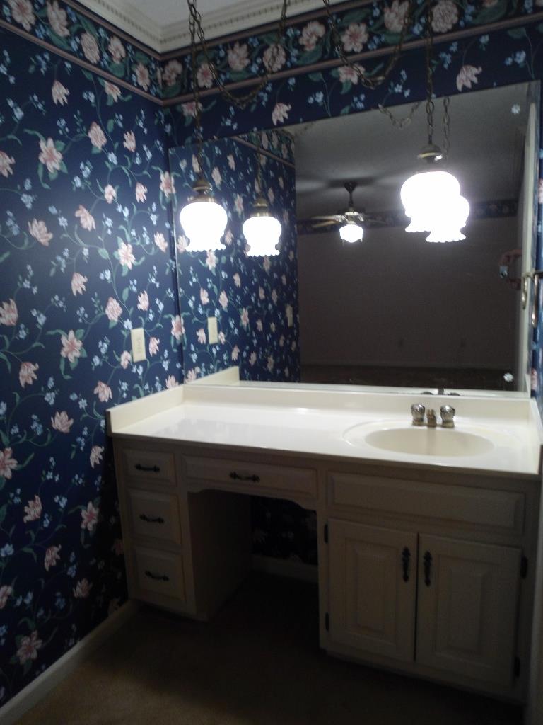 185 Scott Blvd, Tyrone, GA 30290 photo 11