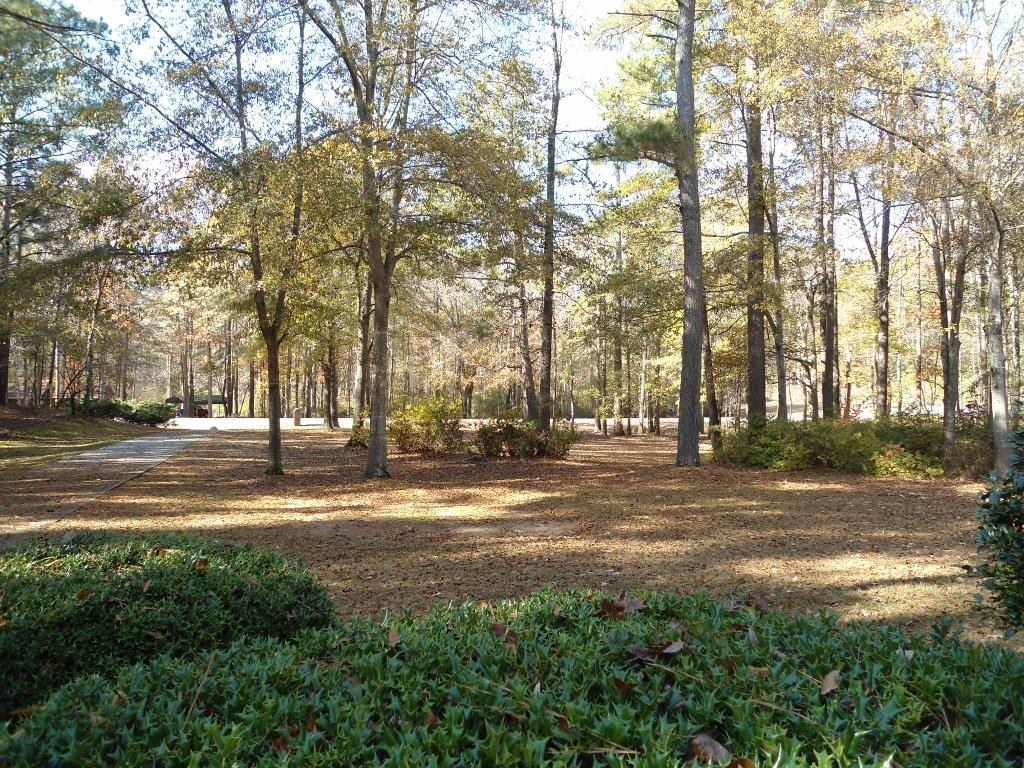 185 Scott Blvd, Tyrone, GA 30290 photo 14