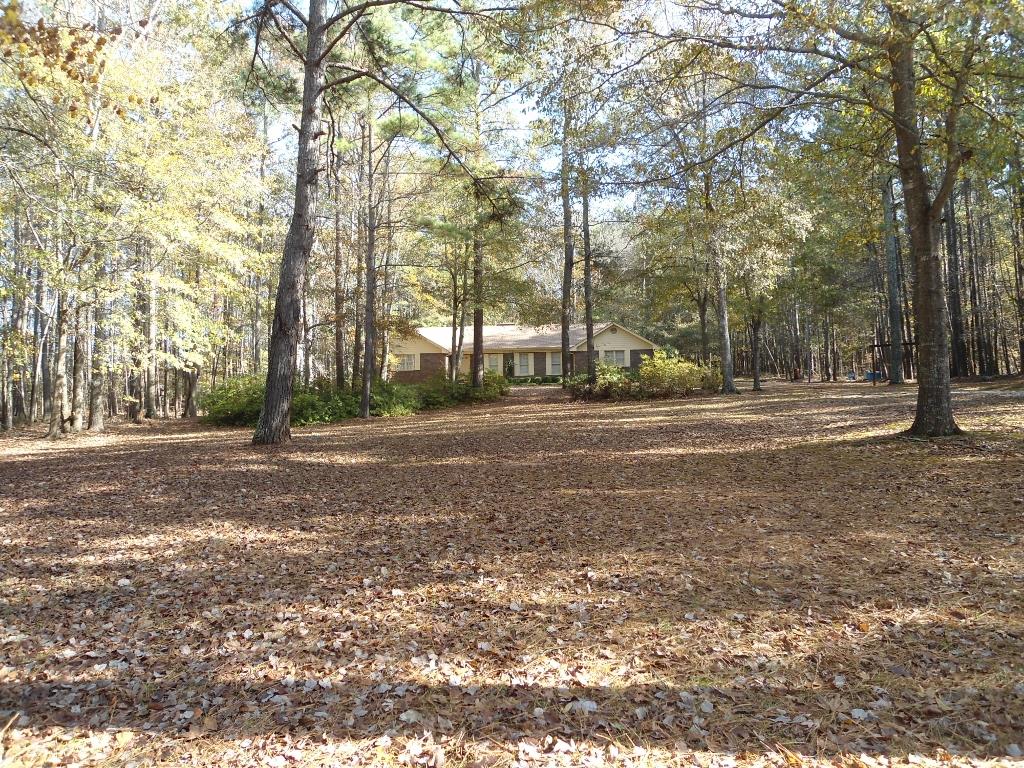 185 Scott Blvd, Tyrone, GA 30290 photo 15