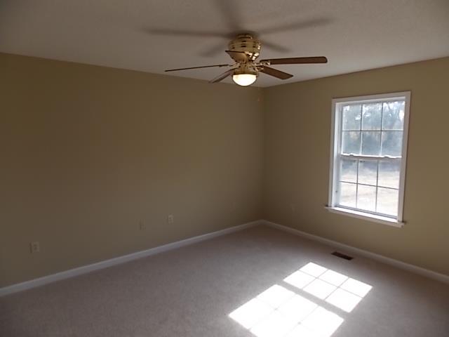 396 Red Clay Rd, Claxton, GA 30417 photo 19