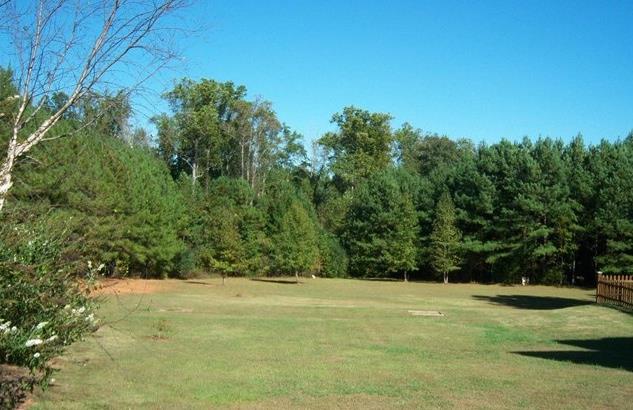 3610 Spears Rd, Madison, GA 30650 photo 24