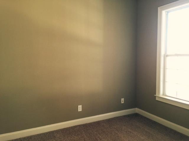 3142 Alhambra Cir, Hampton, GA 30228 photo 17