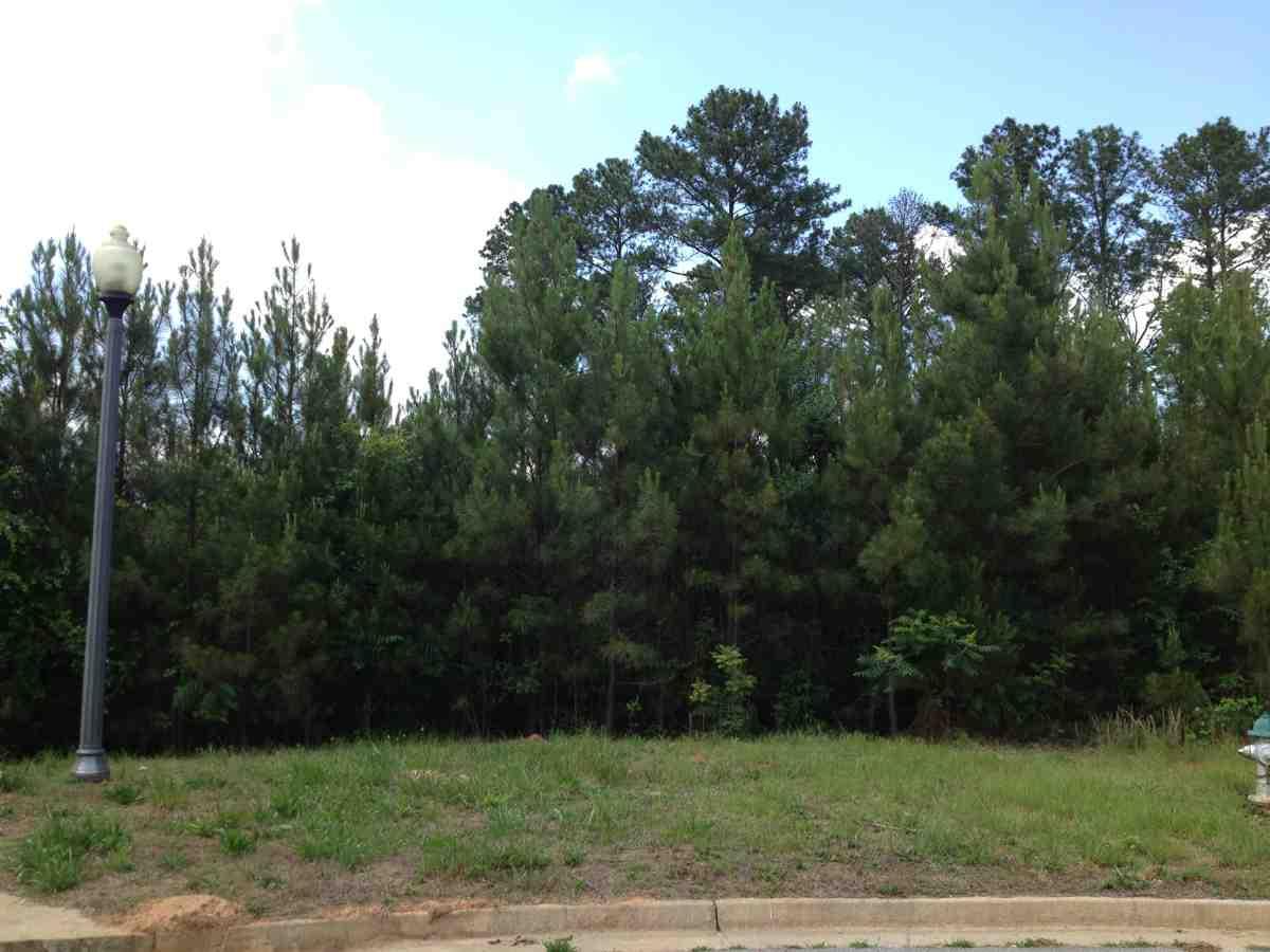 9234 Golfview Cir, Covington, GA 30014 photo 2