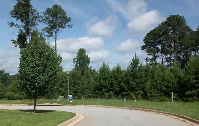 9234 Golfview Cir, Covington, GA 30014 photo 11