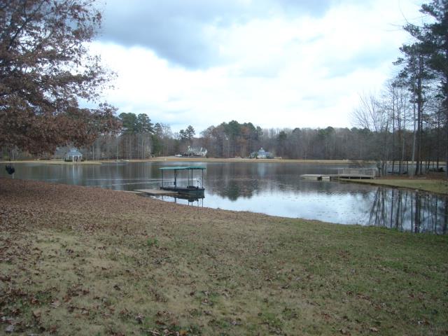 145 Brennan Dr, Tyrone, GA 30290 photo 2