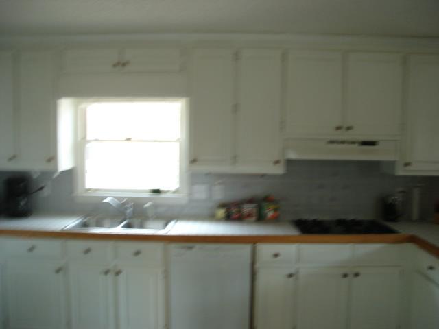 145 Brennan Dr, Tyrone, GA 30290 photo 9