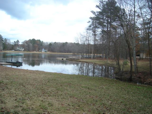 145 Brennan Dr, Tyrone, GA 30290 photo 3