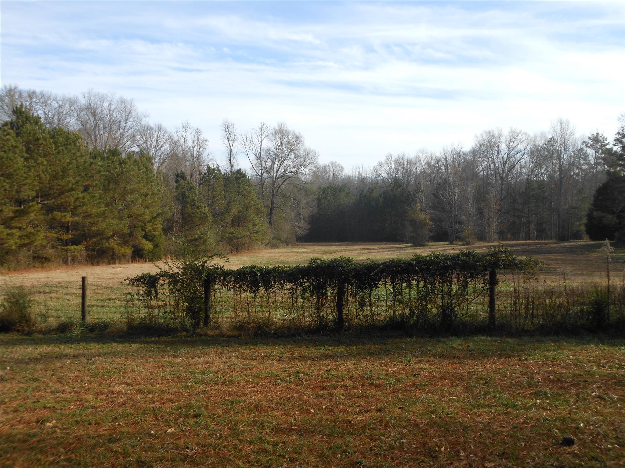 491 Collier Rd, Concord, GA 30206 photo 21