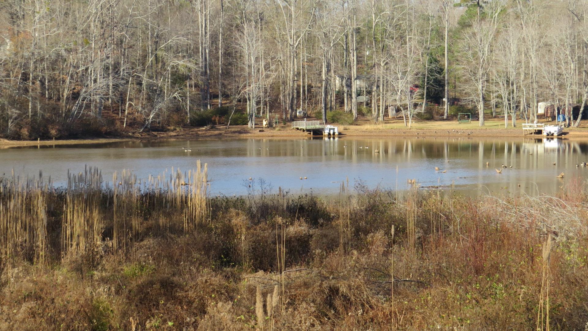 107 Lakeside Cir, Jackson, GA 30233 photo 21