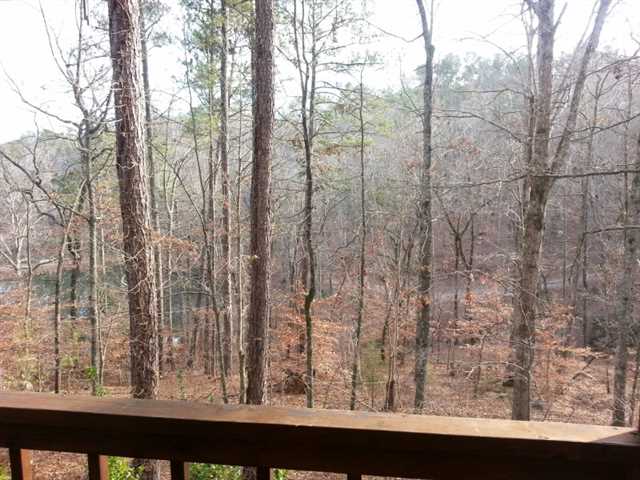 56 Maplewood Trl, White, GA 30184 photo 10