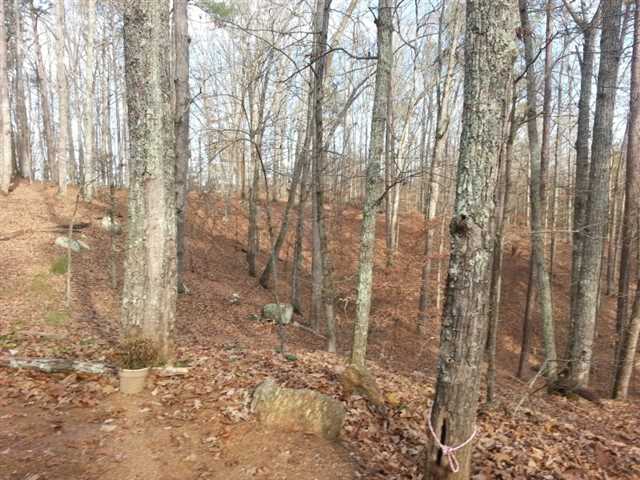 56 Maplewood Trl, White, GA 30184 photo 9