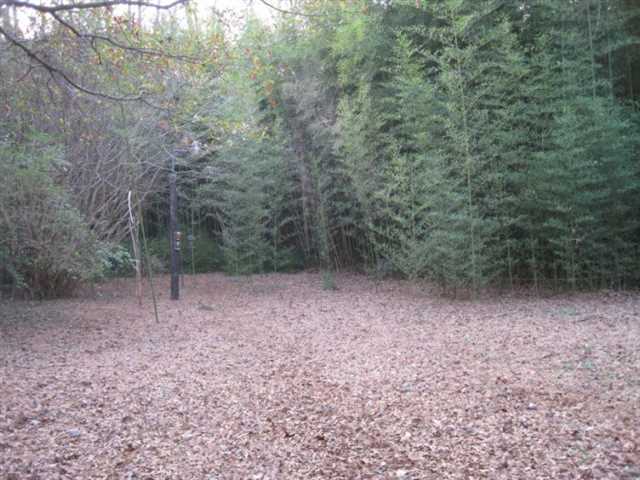 4473 Falcon Ct, Conley, GA 30288 photo 10