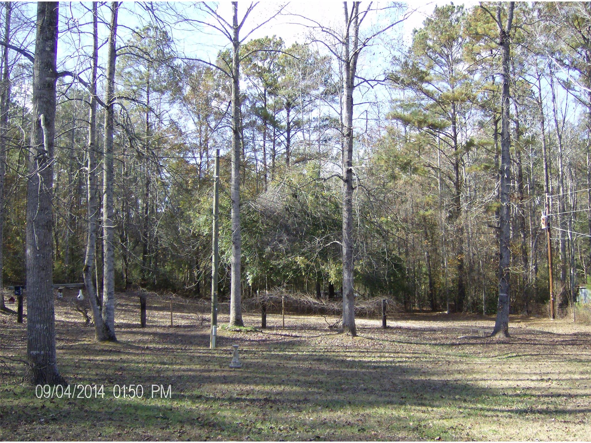 1572 Boxankle Rd, Forsyth, GA 31029 photo 18