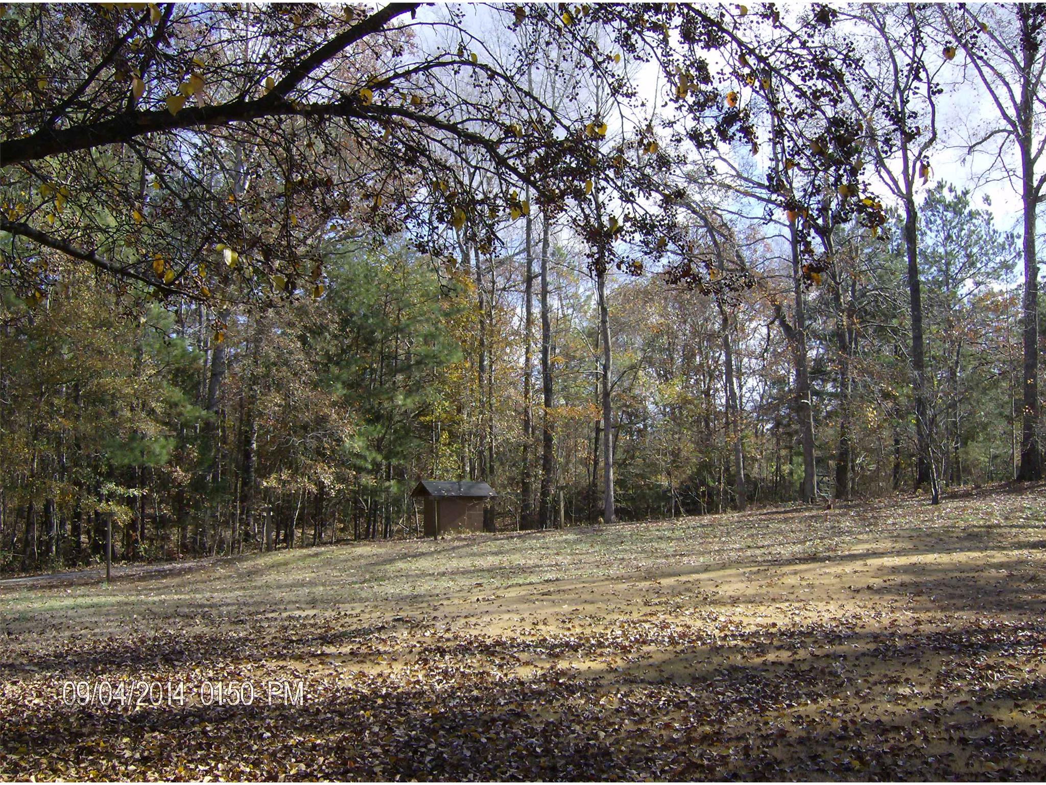 1572 Boxankle Rd, Forsyth, GA 31029 photo 17