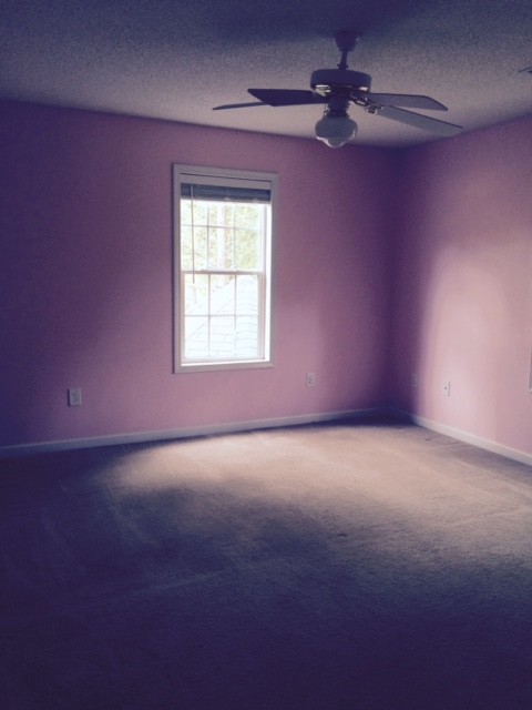 24 C J Dr, Euharlee, GA 30145 photo 10