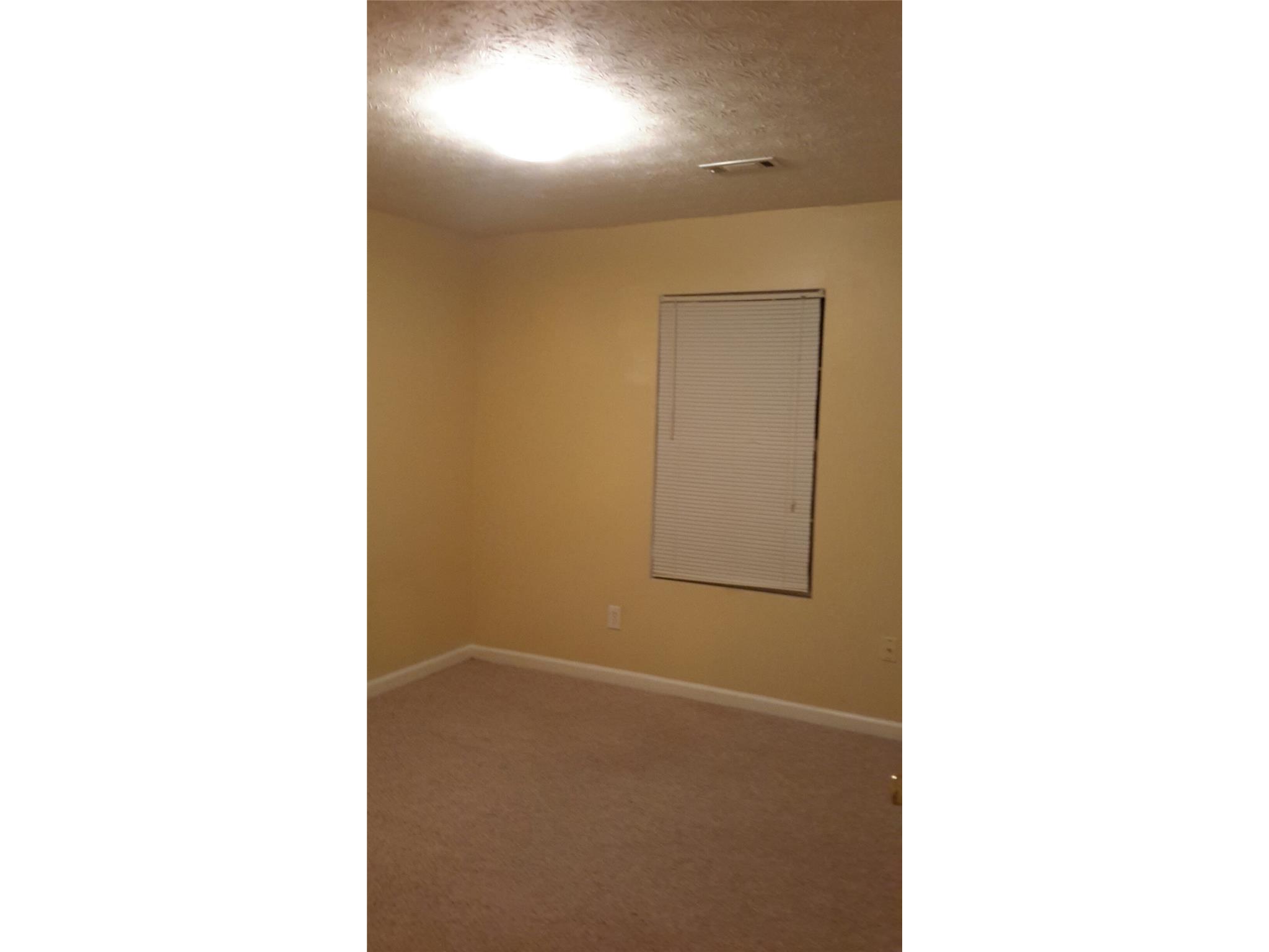 11052 Silver Aspen Ct, Hampton, GA 30228 photo 10