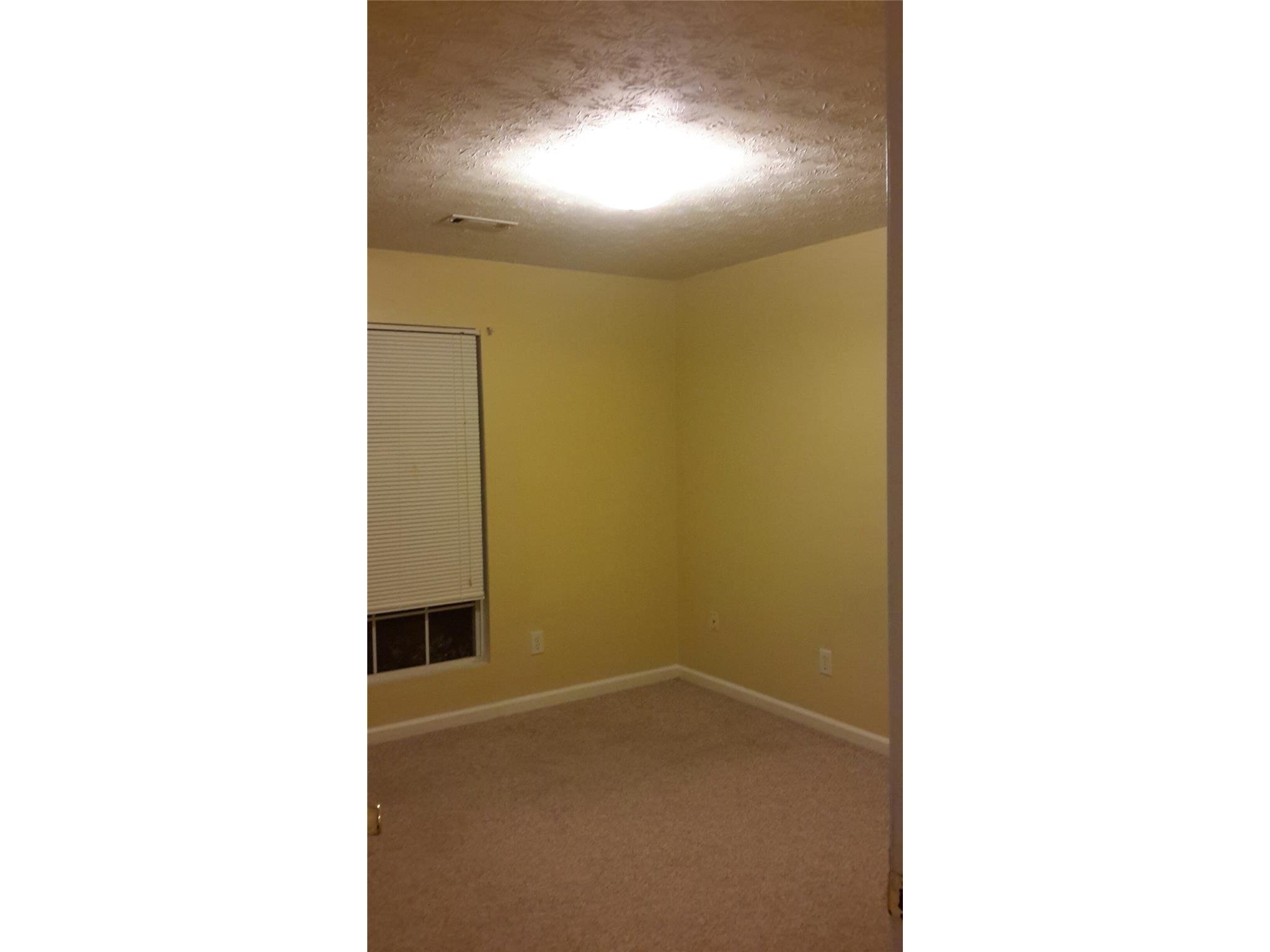 11052 Silver Aspen Ct, Hampton, GA 30228 photo 9