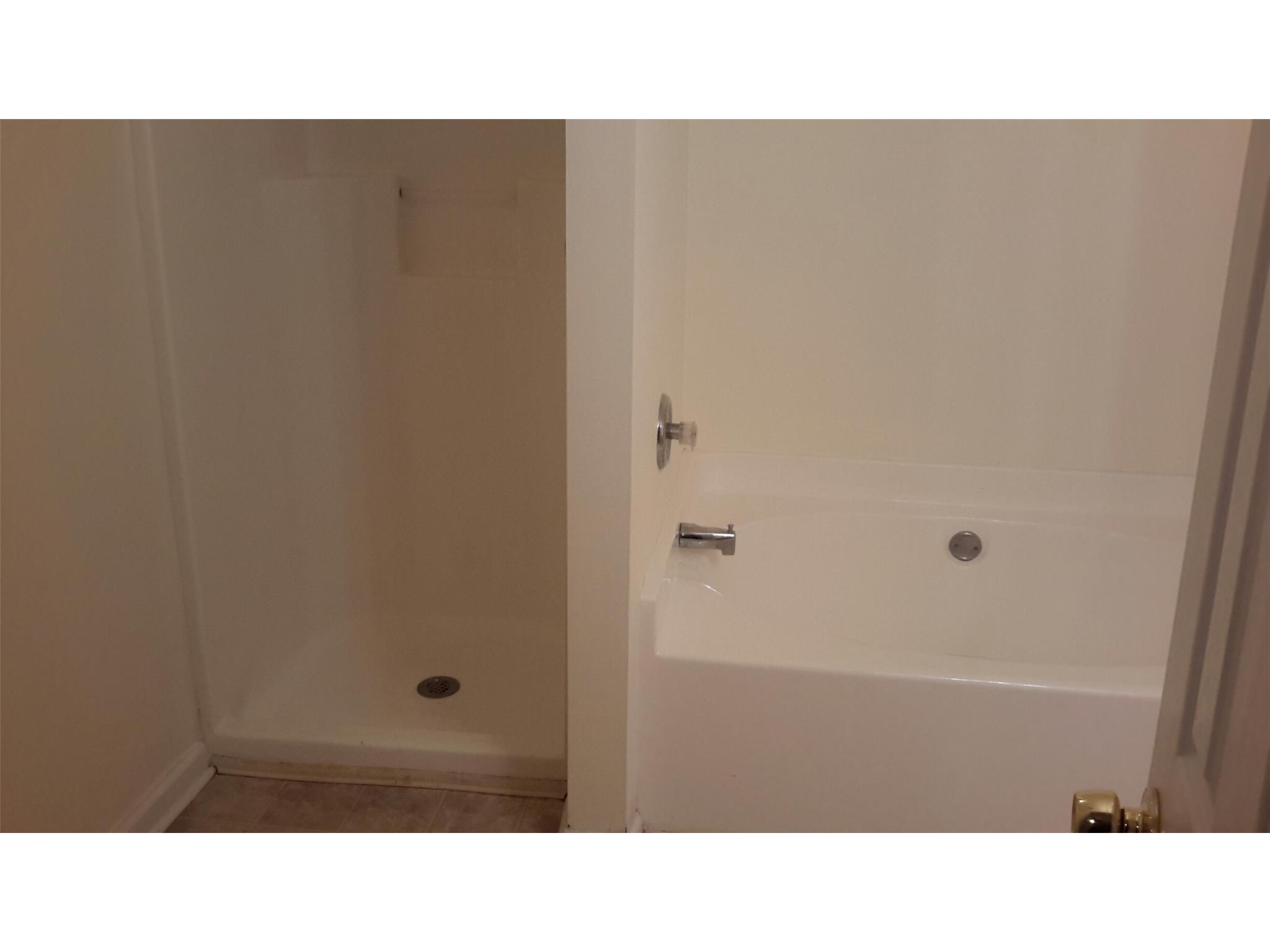 11052 Silver Aspen Ct, Hampton, GA 30228 photo 16