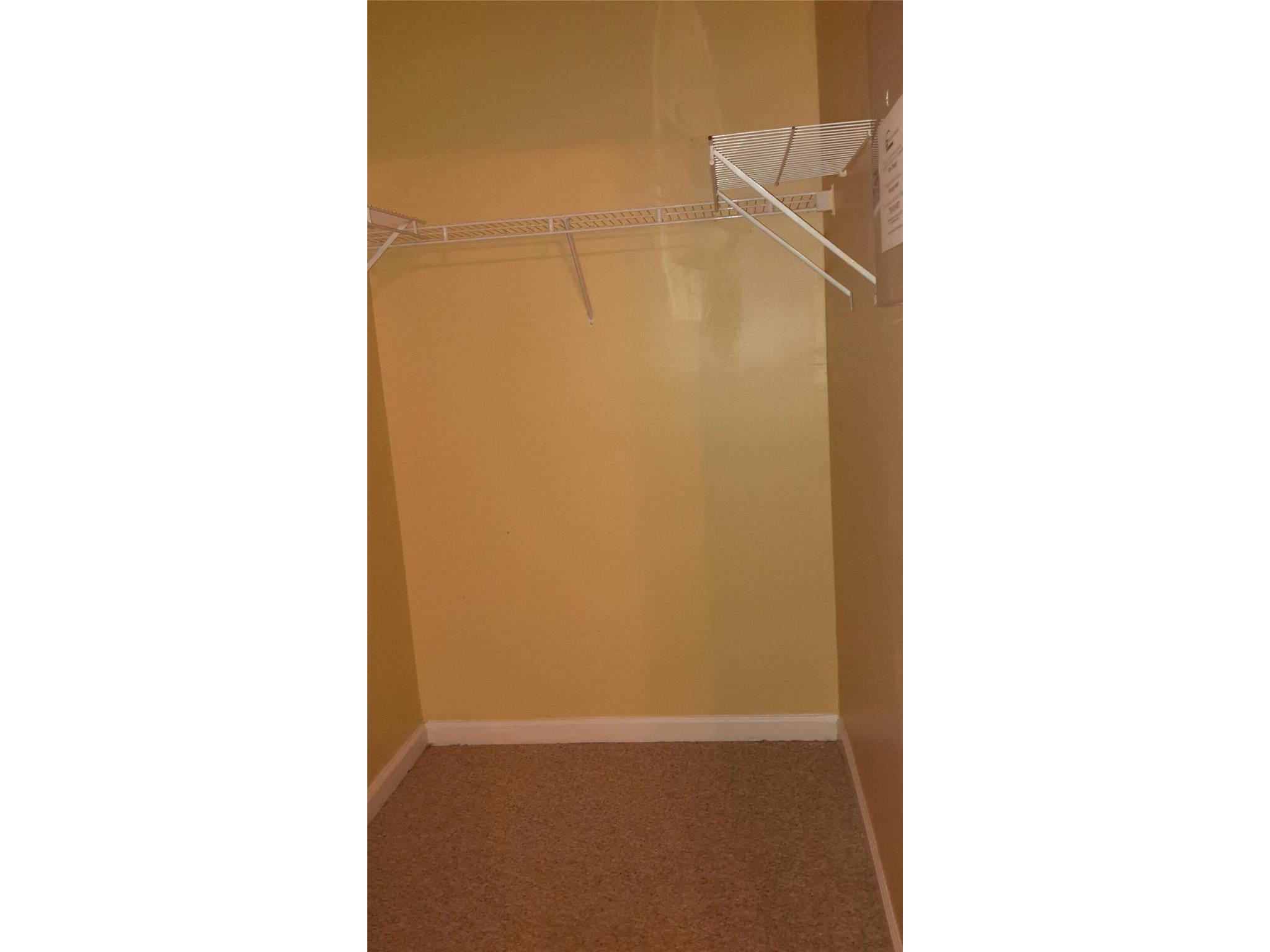 11052 Silver Aspen Ct, Hampton, GA 30228 photo 15