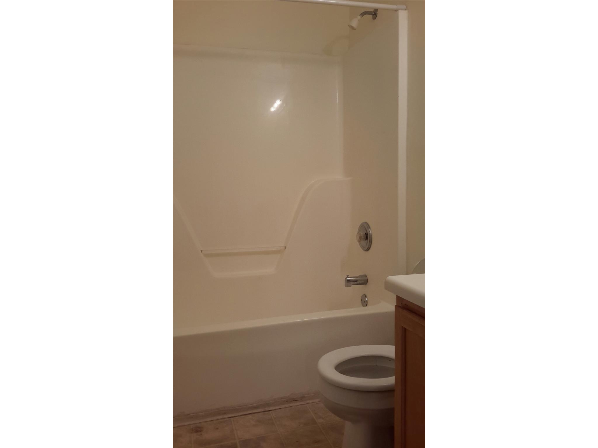 11052 Silver Aspen Ct, Hampton, GA 30228 photo 11