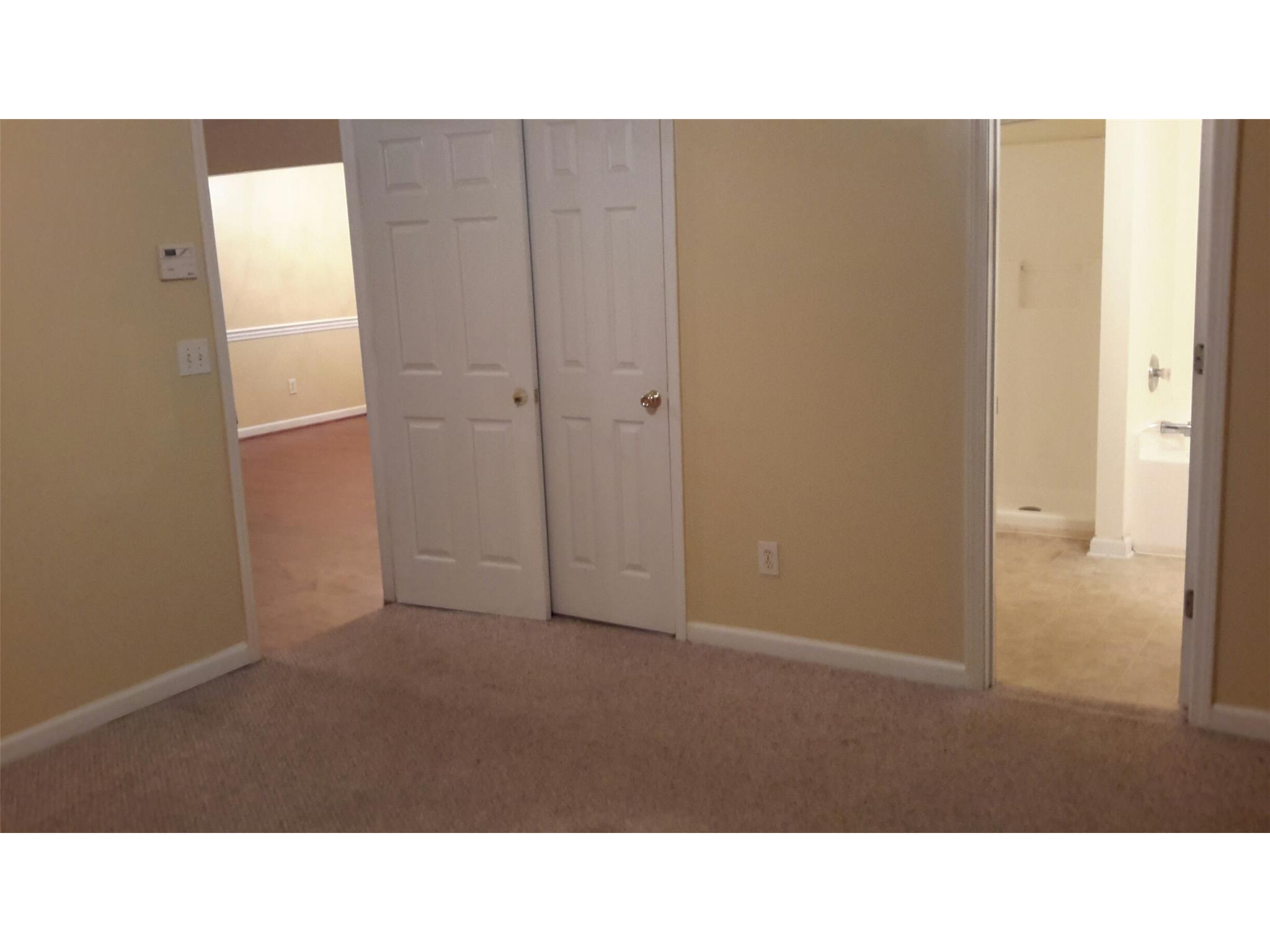 11052 Silver Aspen Ct, Hampton, GA 30228 photo 14