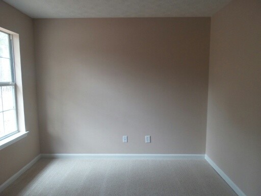 3341 Hwy 3, Hampton, GA 30228 photo 12