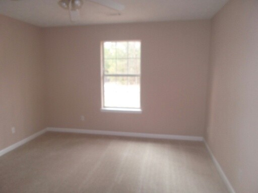 3341 Hwy 3, Hampton, GA 30228 photo 15