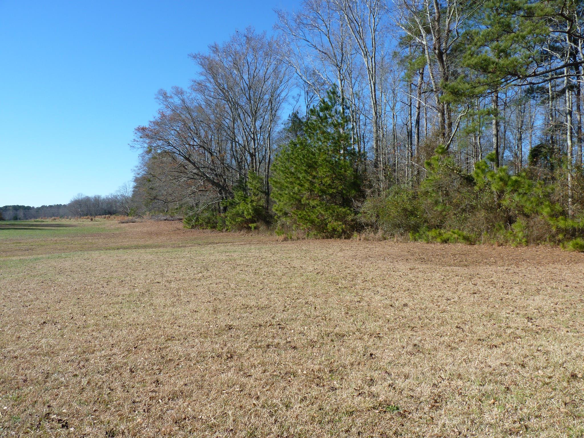 122 Harrison Rd, Monroe, GA 30655 photo 9