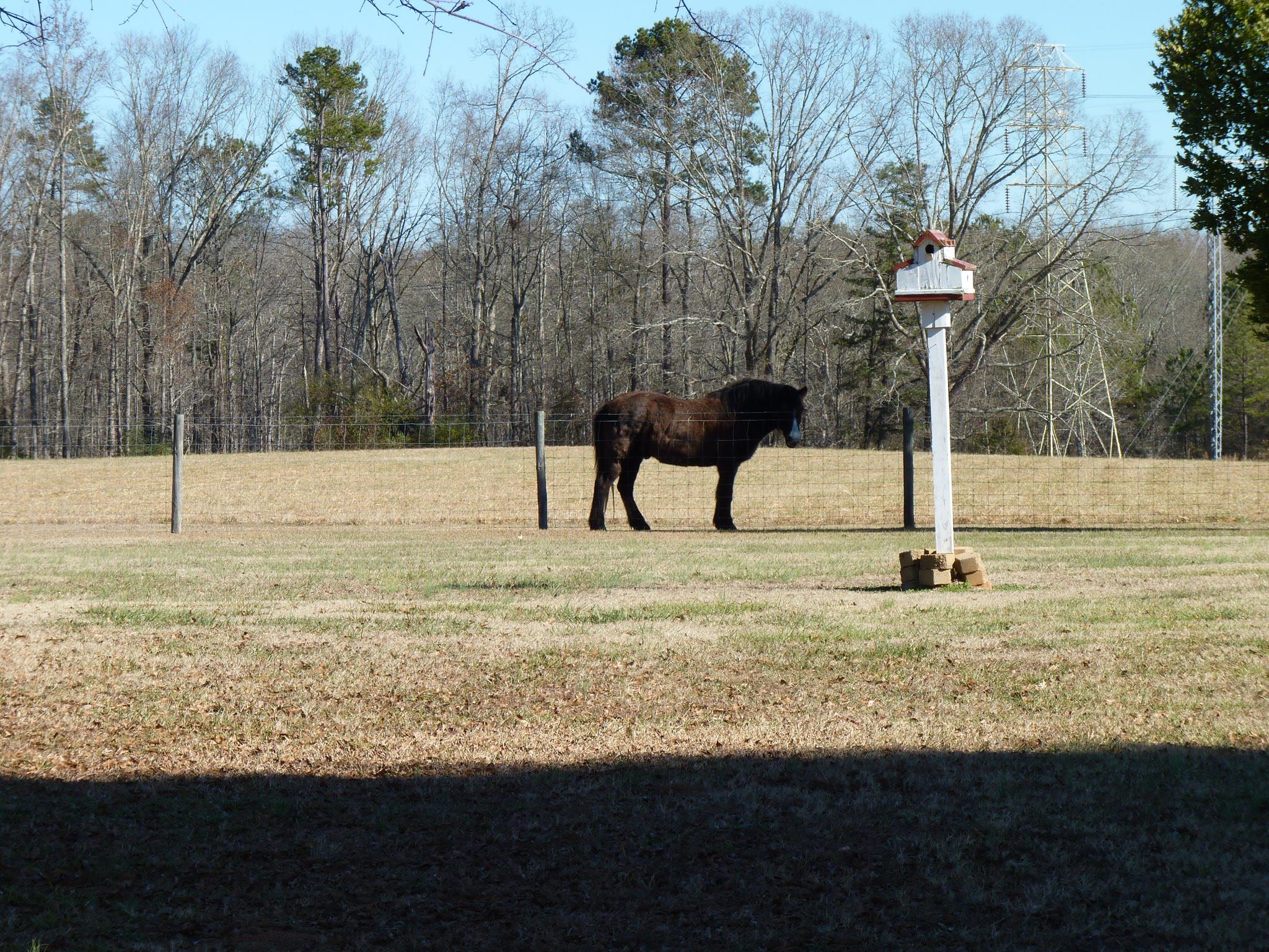 122 Harrison Rd, Monroe, GA 30655 photo 19