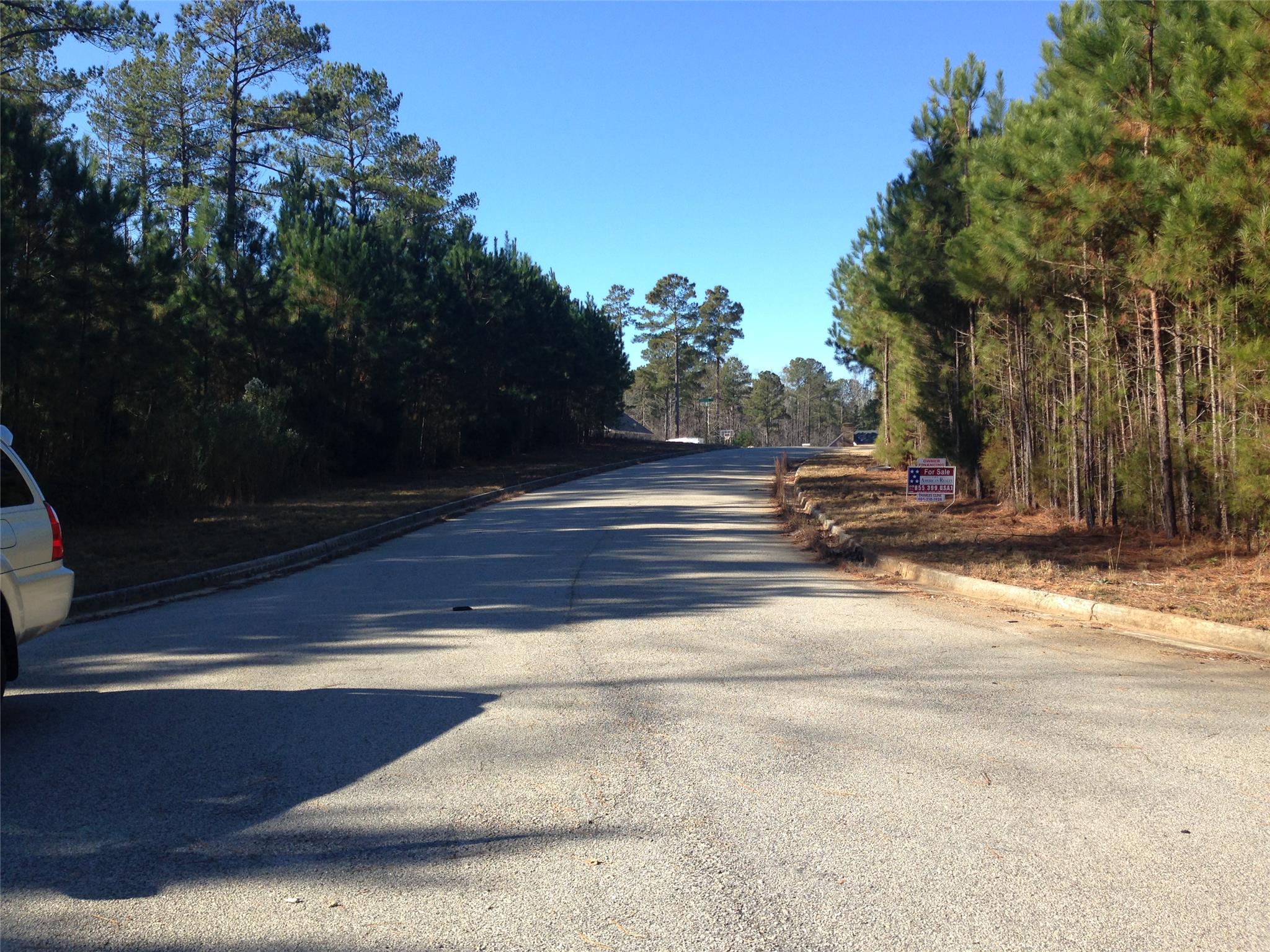 400 Princeton Ct, Hampton, GA 30228 photo 5
