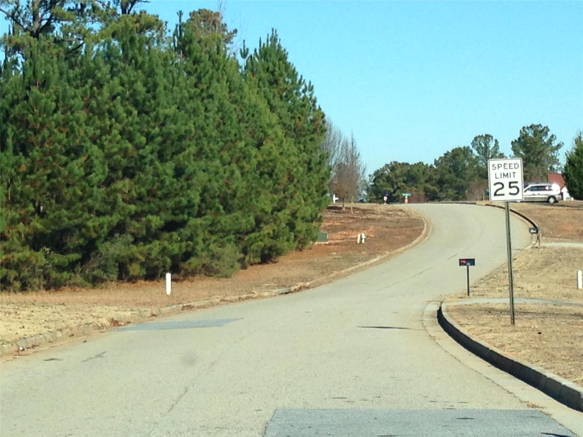 400 Princeton Ct, Hampton, GA 30228 photo 2