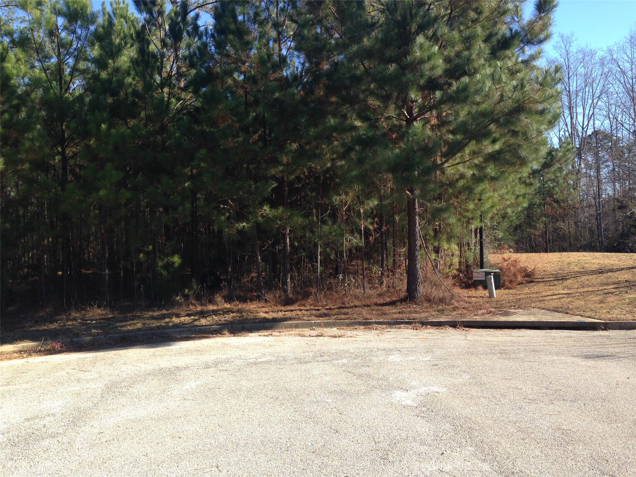 400 Princeton Ct, Hampton, GA 30228 photo 3