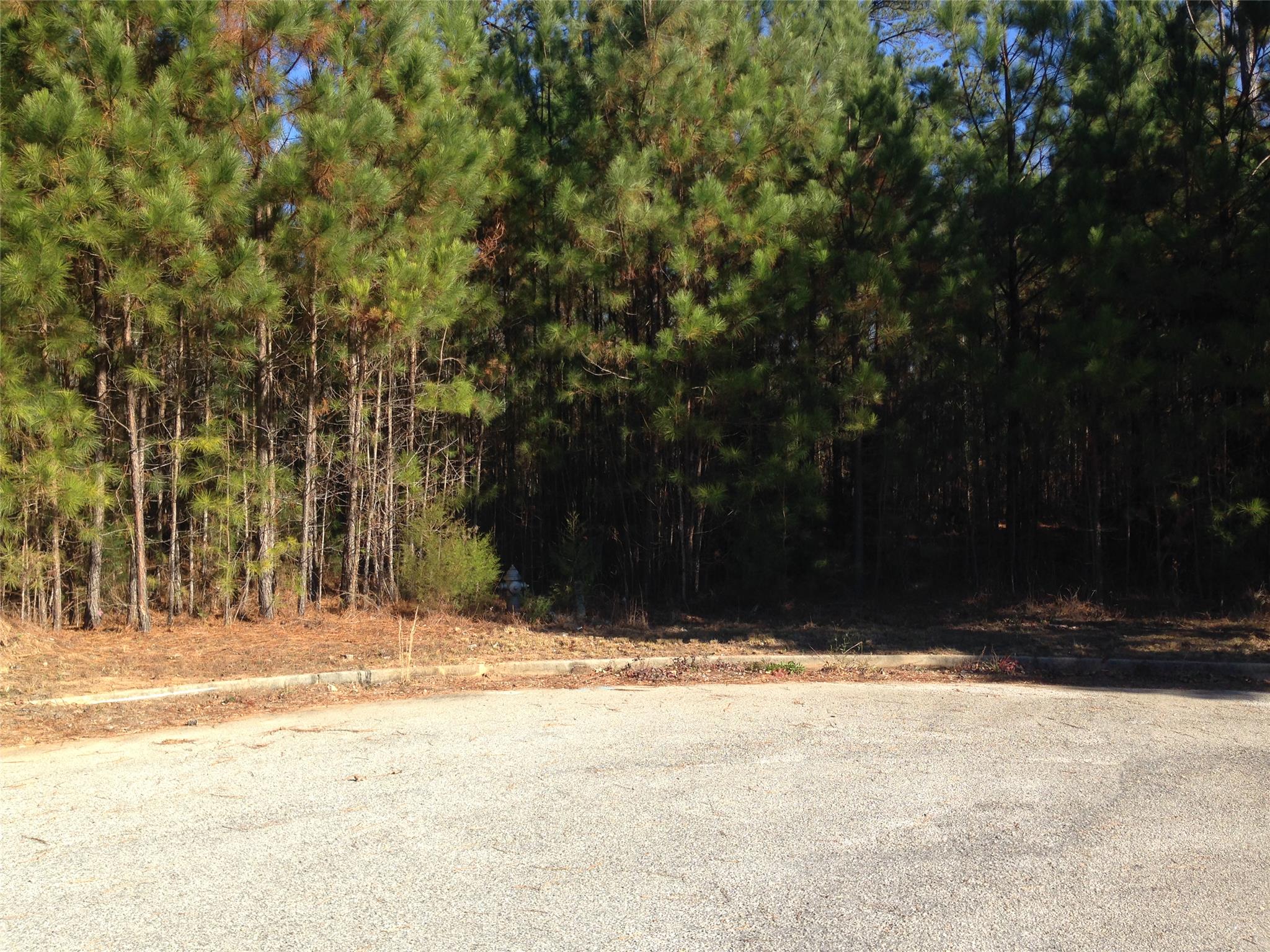 400 Princeton Ct, Hampton, GA 30228 photo 4